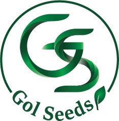 گل سیدز