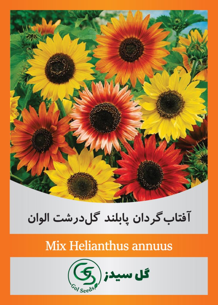 Mix-Helianthus-annuus
