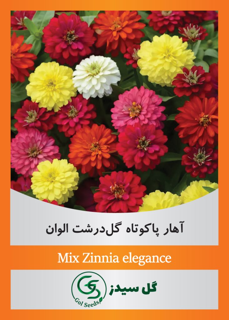 mix-zinnia-elegance