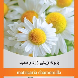 matricaria-chamomilla