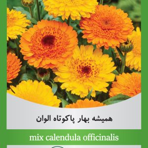 mix-calendula-officinalis